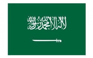 Low Cost Air Cargo Door to Door for Middle East Imports Exports