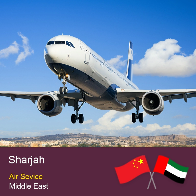 porcelana Servicio de entrega de carga aérea de China a los Emiratos Árabes Unidos Sharjah Reenvío de carga