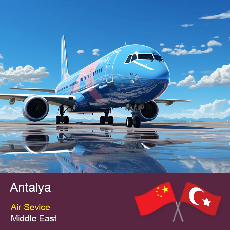 Çin Turizm Temini Çin'den Antalya'ya Hafif Hava Taşımacılığı Türkiye Kıyı Perakende Malları Kapıdan Kapıya Servis Yük taşıyıcısı