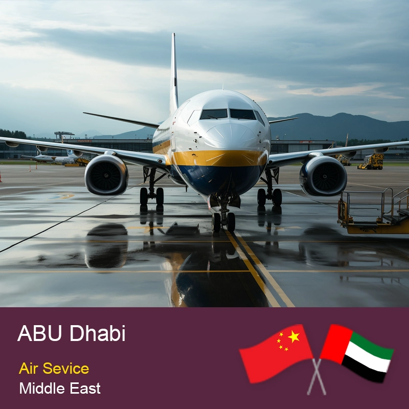Servicio confiable de carga aérea acelerada desde China a Abu Dhabi, Emiratos Árabes Unidos