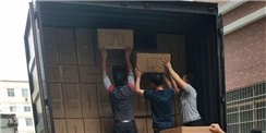 Entrega oportuna de bolsas de prenda de lujo Entrega oportuna de bolsas de prenda de lujo
