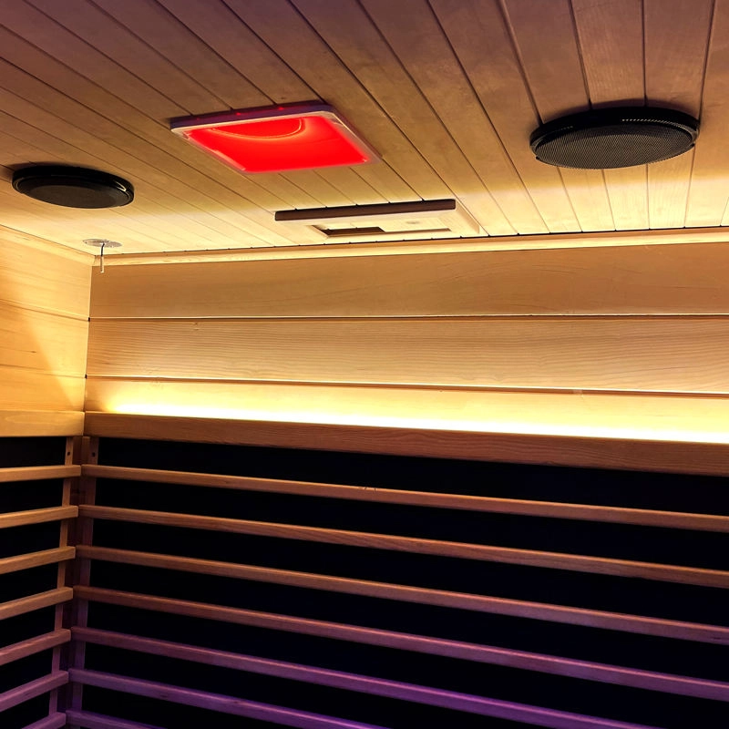 Luxury Indoor Glass Sauna Room 2 Person Modern Home Sauna Cabin for Bathroom Gym