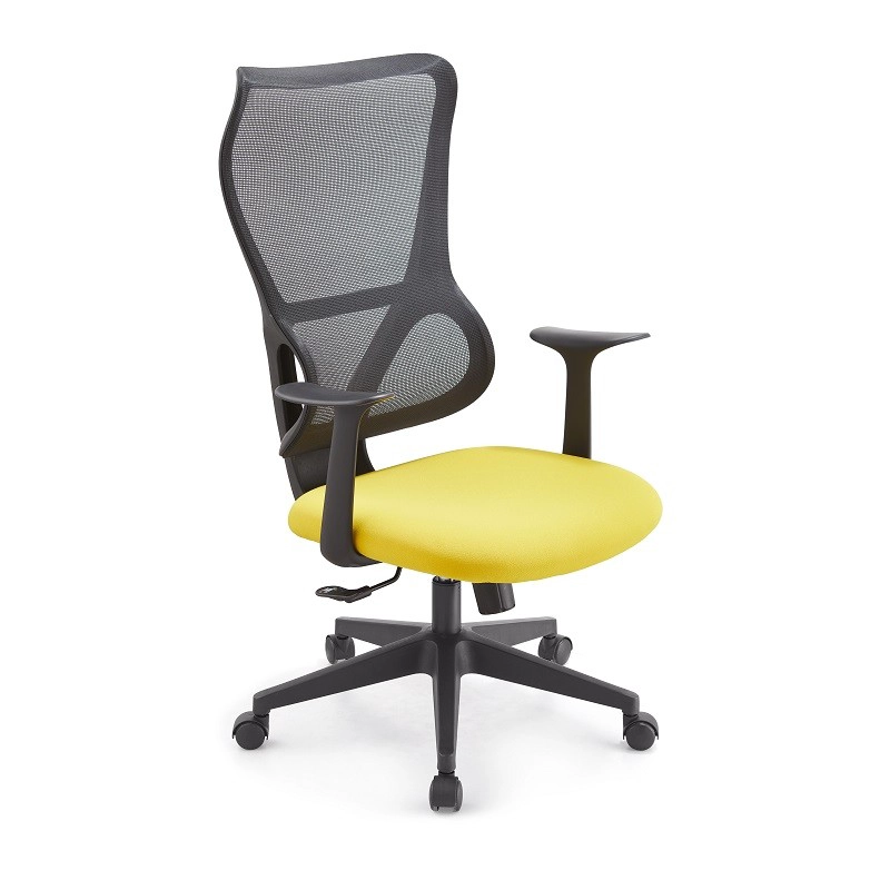 Custom Stylish High-Value Gaming Chair T2022