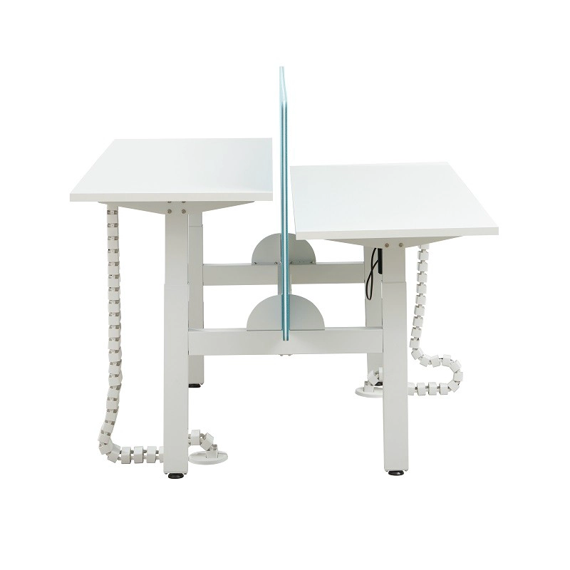 OEM double ergonomic height-adjustable desk with partition