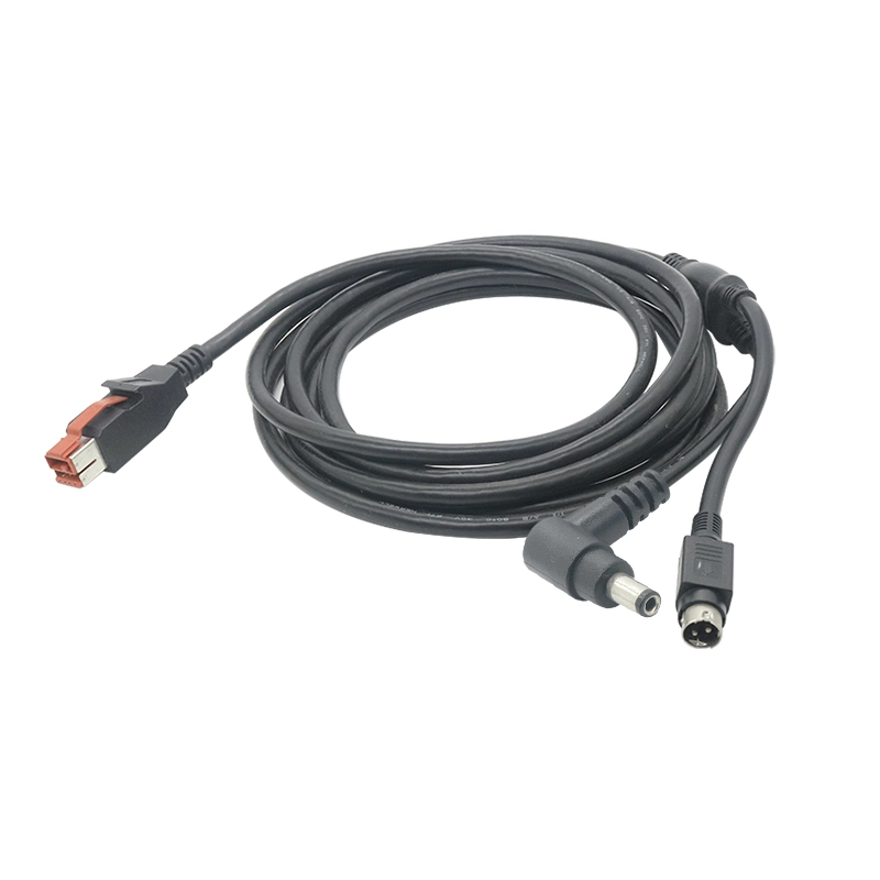 porcelana Cable macho 24V Poweredusb a 3pin Power DIN  DC 5521 Macho fabricante