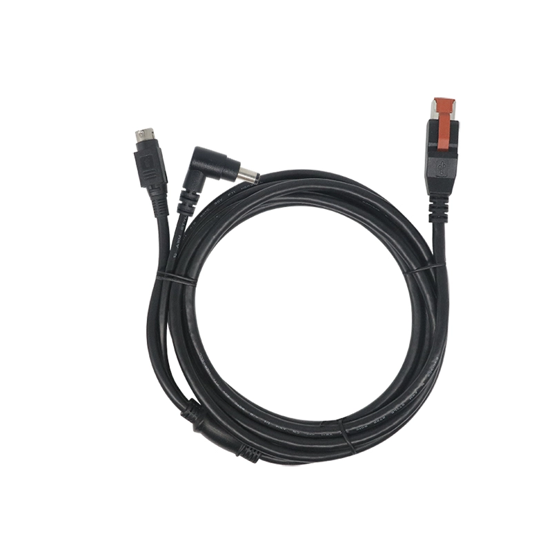 porcelana Cable macho 24V Poweredusb a 3pin Power DIN  DC 5521 Macho fabricante