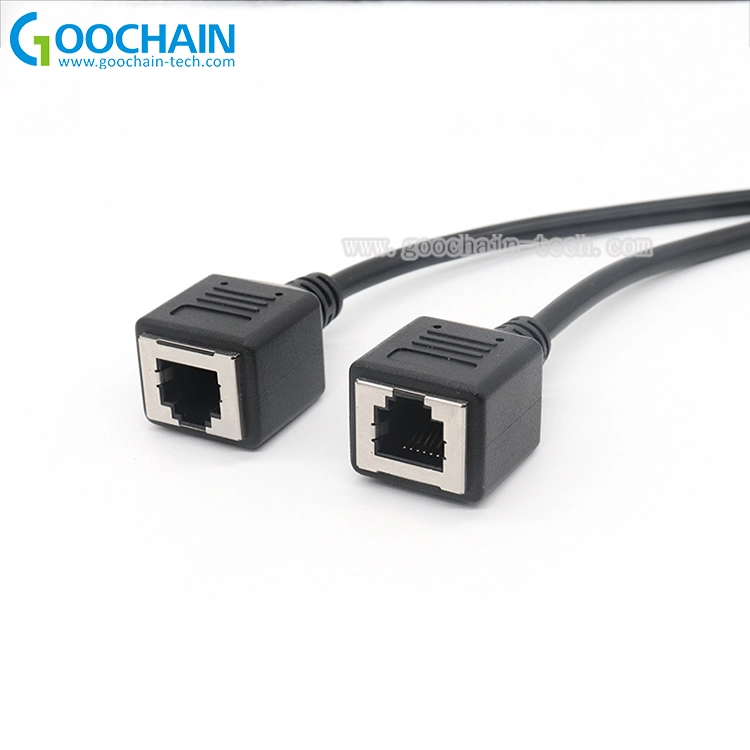 الصين حقن مصبوب مخصص RJ12 6P6C ذكر إلى أنثى تمديد الكابل المزود الصانع