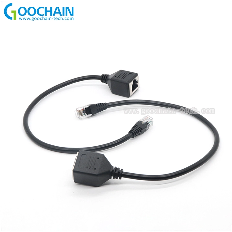 الصين حقن مصبوب مخصص RJ12 6P6C ذكر إلى أنثى تمديد الكابل المزود الصانع