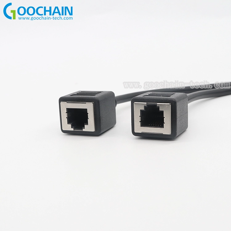 الصين حقن مصبوب مخصص RJ12 6P6C ذكر إلى أنثى تمديد الكابل المزود الصانع