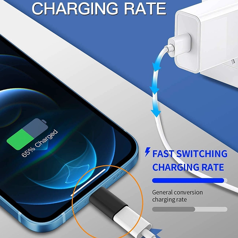 China Adaptador USB C fêmea para relâmpago de 8 pinos adaptador OTG Cabo para iPhone e iPad fabricante