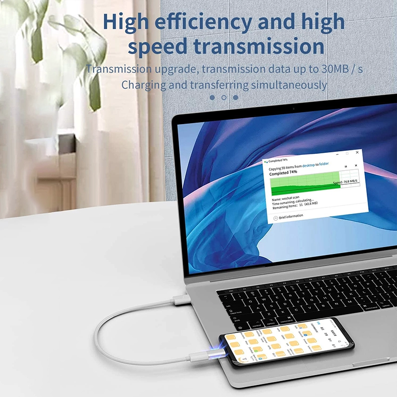 中国 Lightning 母头转 USB C 公头转接头 制造商