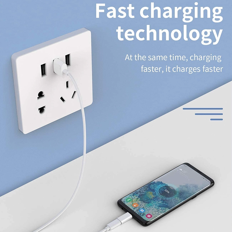 中国 Lightning 母头转 USB C 公头转接头 制造商