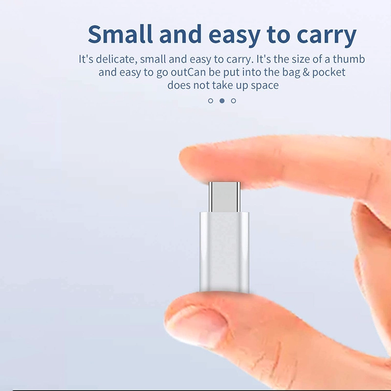 中国 Lightning 母头转 USB C 公头转接头 制造商