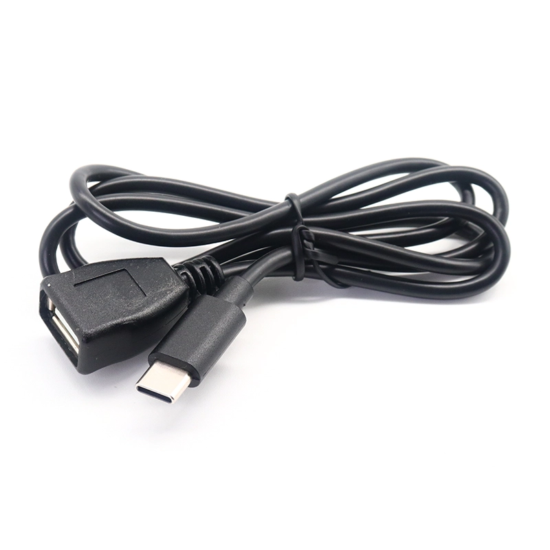 China USB C 3.1 Type C Male to USB Type A Female OTG Adapter Converter Cable manufacturer