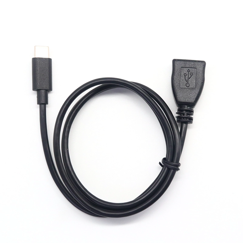 China USB C 3.1 Type C Male to USB Type A Female OTG Adapter Converter Cable manufacturer