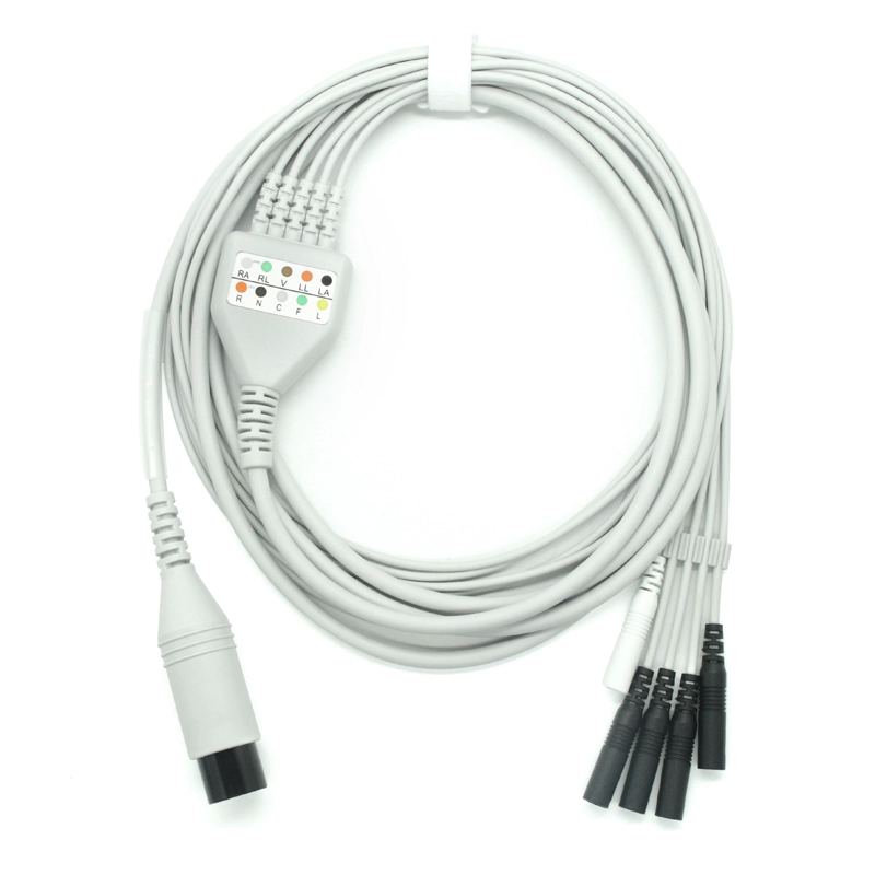 Chine Câble de surveillance ECG Câble EEG EKG avec fils pour moniteurs patients série M fabricant