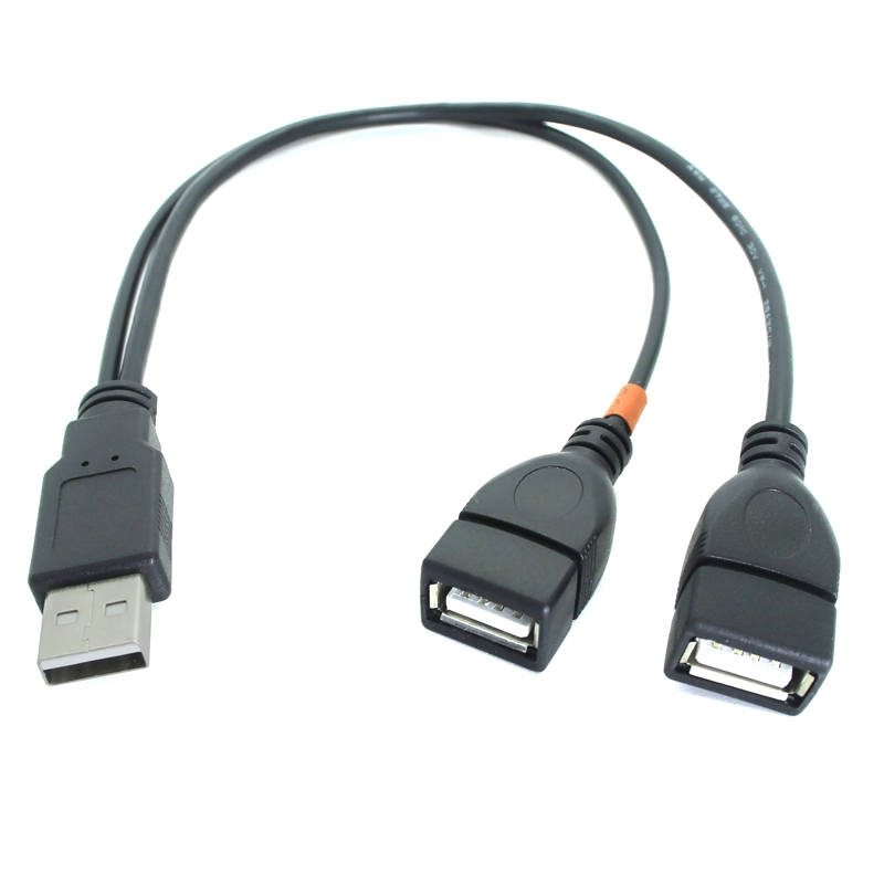 中国 USB 2.0 A 公转 2 双 USB 母插孔 Y 分路器集线器电源线延长适配器电缆 制造商