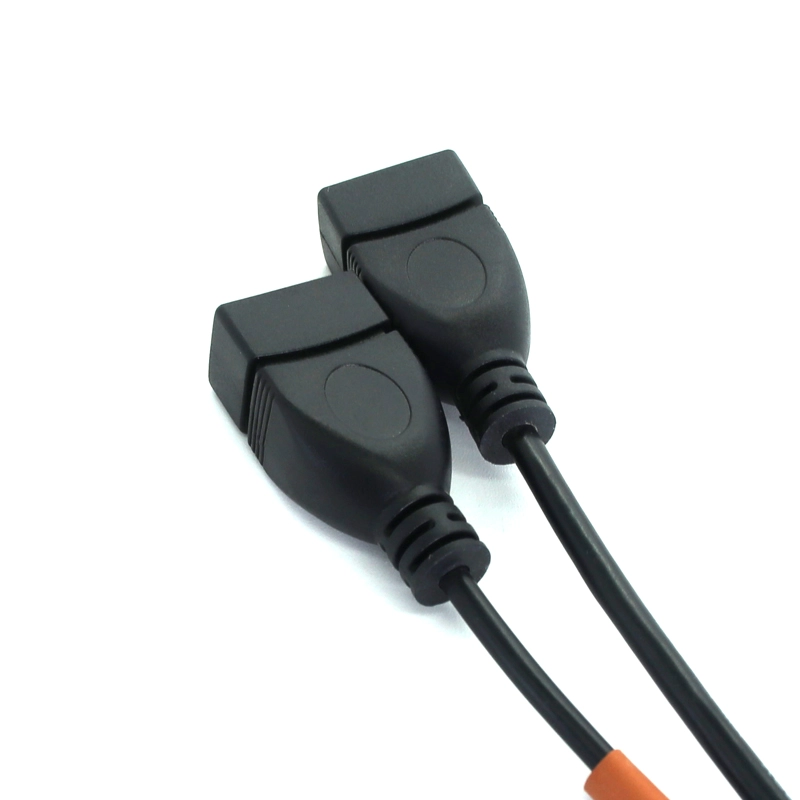 中国 USB 2.0 A 公转 2 双 USB 母插孔 Y 分路器集线器电源线延长适配器电缆 制造商