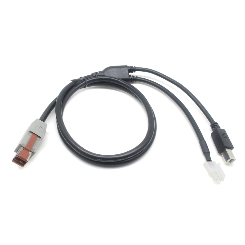 China China Manufacturer 24V Powered USB POS Cable 8 Pin to 2 Pin JST Connector + USB Type B 4P Y Splitter Power Supply and Data Transfer Cable For 3D Printer or POS System manufacturer