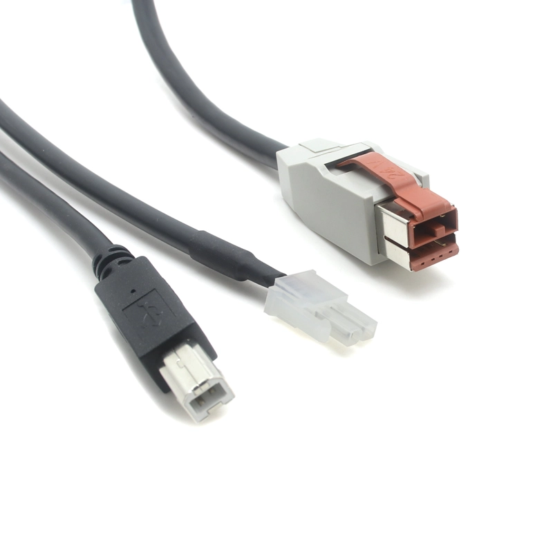 China China Manufacturer 24V Powered USB POS Cable 8 Pin to 2 Pin JST Connector + USB Type B 4P Y Splitter Power Supply and Data Transfer Cable For 3D Printer or POS System manufacturer