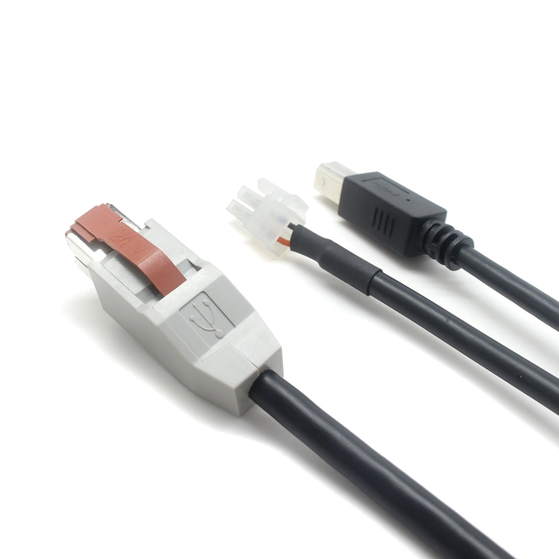 China China Manufacturer 24V Powered USB POS Cable 8 Pin to 2 Pin JST Connector + USB Type B 4P Y Splitter Power Supply and Data Transfer Cable For 3D Printer or POS System manufacturer