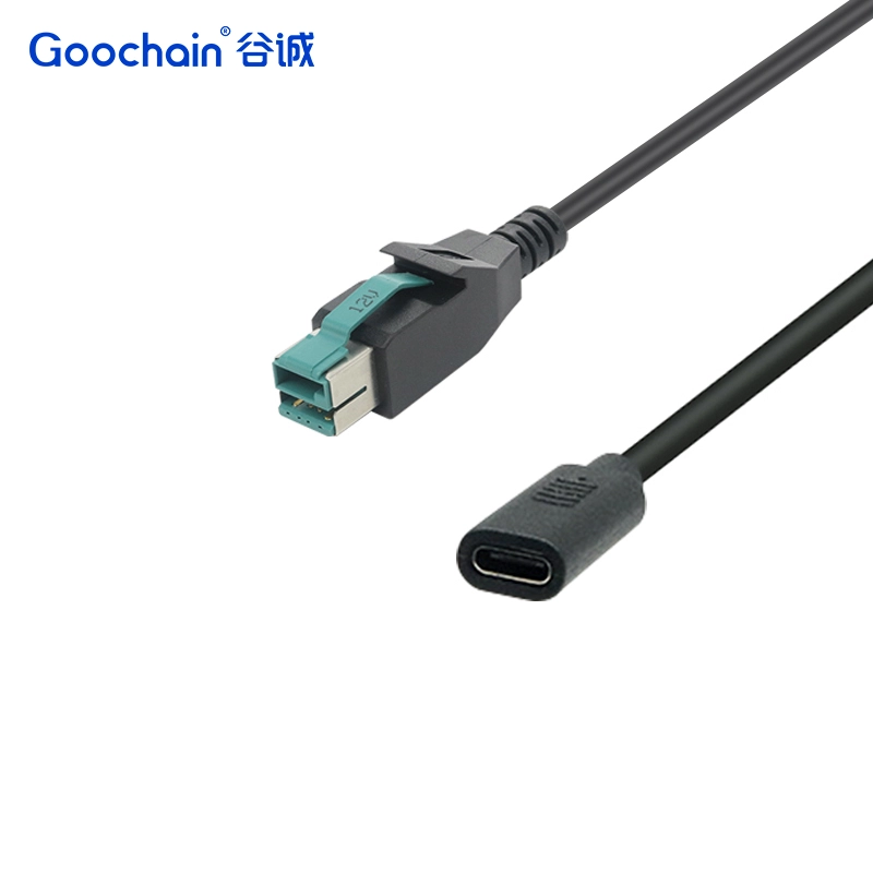China USB Type C Vrouw tot 12V aangedreven USB -kabel voor POS -systemen | Dongguan -fabrikant | ISO 13485 & ISO 9001 gecertificeerd fabrikant