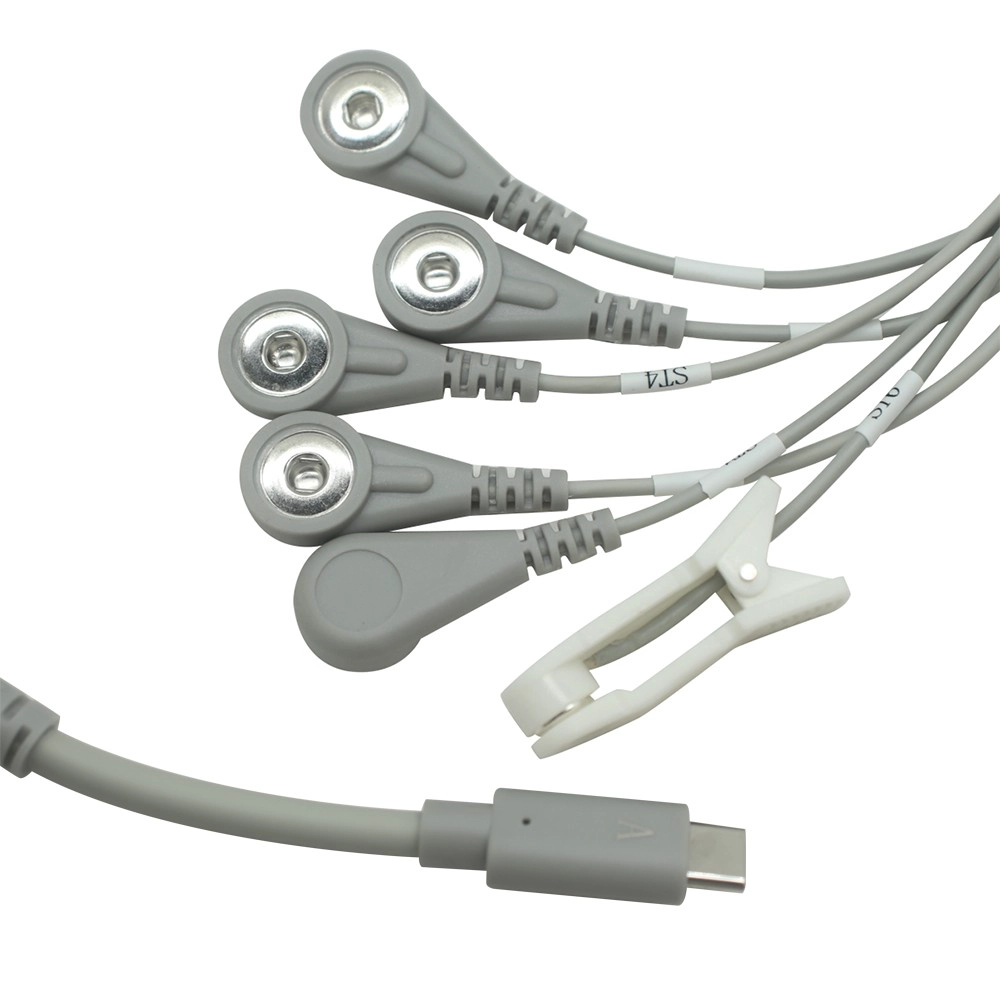 China USB Type-C Male to 4.0mm Snap Female x5 + Ear Clip x1 Lead Wire | One-to-Six Electrode Cable for Physiotherapy & ECG Devices manufacturer