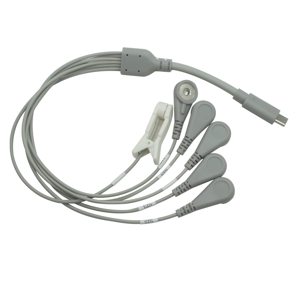 China USB Type-C Male to 4.0mm Snap Female x5 + Ear Clip x1 Lead Wire | One-to-Six Electrode Cable for Physiotherapy & ECG Devices manufacturer