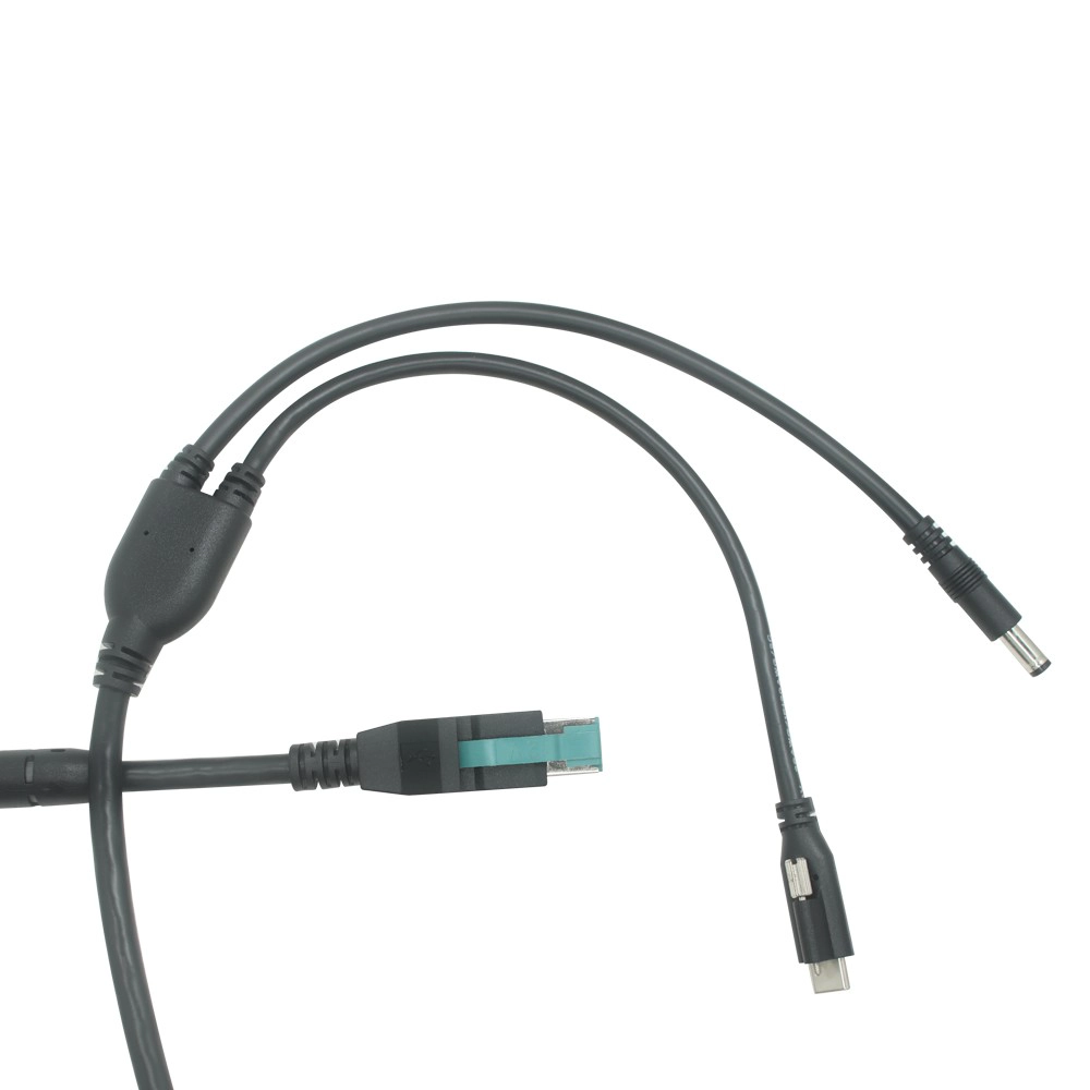 China 12V Power USB to Right-Angle USB-B Male with 2Pin Terminal Cable | Custom Power Data Cable Manufacturer | ISO9001 Certified - COPY - teojmm Hersteller