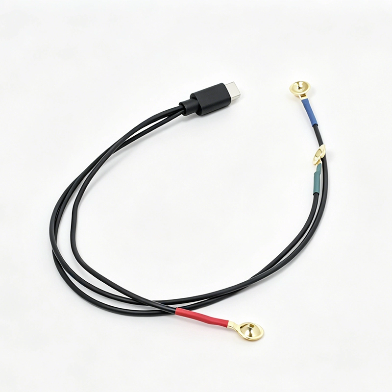 중국 Type-C 남성 - 10.0mm 금도금 EEG/ECG 전극 컵 케이블 | 맞춤형 의료 신호 수집 리드 와이어 제조업체 제조업체