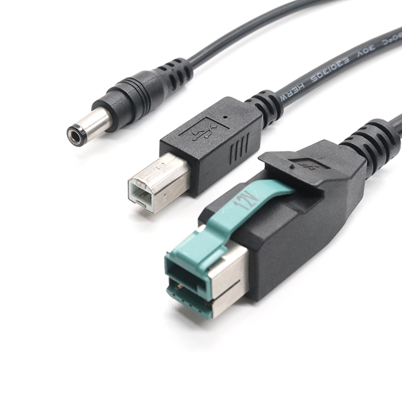 Çin POWEREDUSB - USB-B ve DC Güç Y Kablosu üretici firma