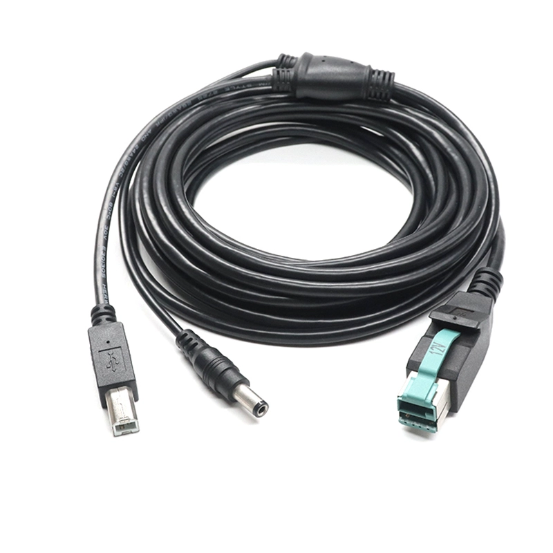 Çin POWEREDUSB - USB-B ve DC Güç Y Kablosu üretici firma