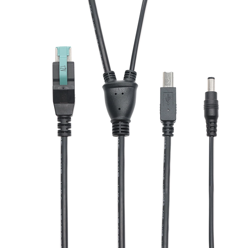 Çin POWEREDUSB - USB-B ve DC Güç Y Kablosu üretici firma