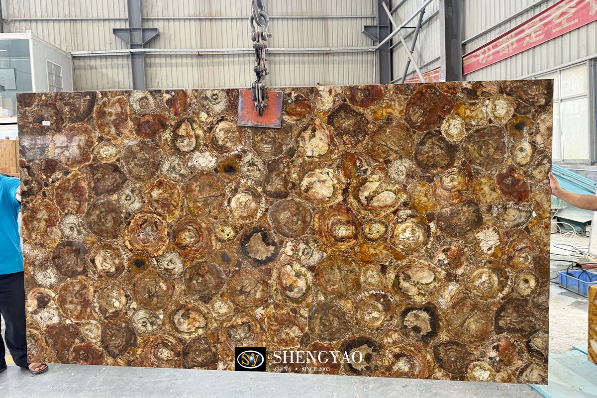 Large size Petrified Wood Semi Precious Stone Slab