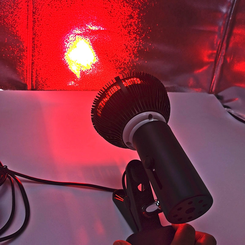 fisioterapia fisioterapia halógena luz LED lâmpada de calor infravermelho