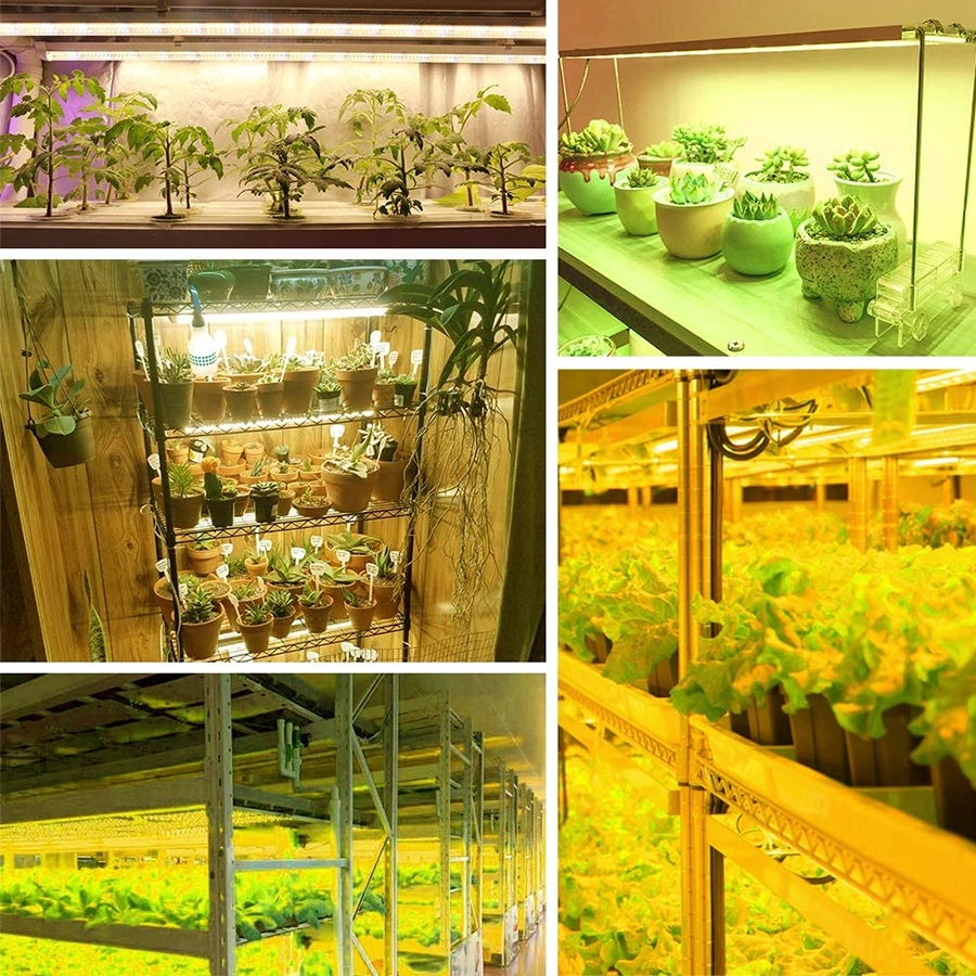 UV IR 1000w Full Spectrum Led Outdoors Hydroponic Indoor System Garden 1200w Led Grow Lights