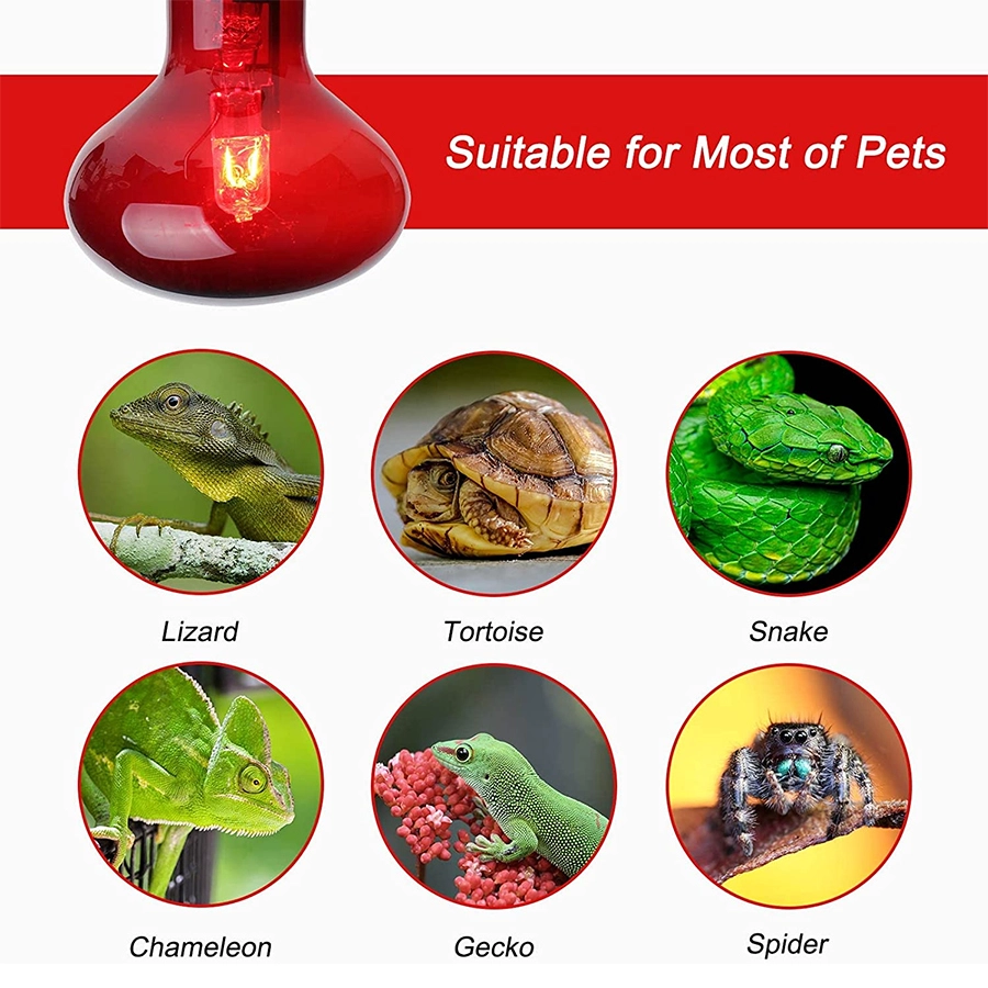Shortwave Paint Drying Infrared Heating Bulbs Halogen IR Quartz Ruby Heating Lamp For Heater