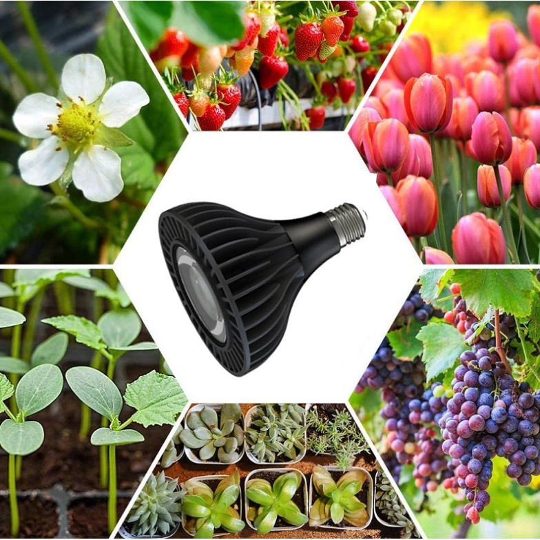 Full Spectrum Quantum Sunlight Vegetables Led Mushroom PAR38 30W 36W Grow Light Bulb