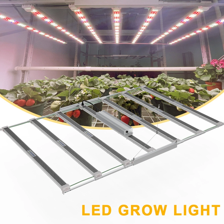 2023 OEM Adjustable Spectrum Wholesale Horticulture Sunplus Flowers Health Lamp Plant Led Grow Light