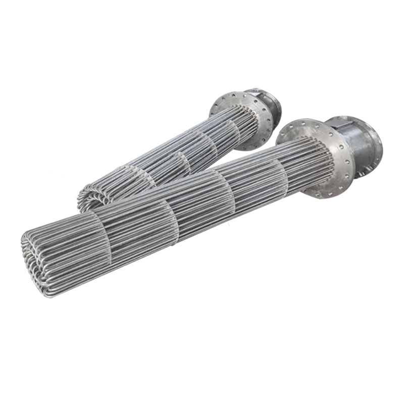 Tubo riscaldante flangiato in acciaio inossidabile Riscaldatore elettrico Serbatoio dell'acqua Tubi riscaldanti del tamburo dell'olio Riscaldatore dell'olio ad immersione