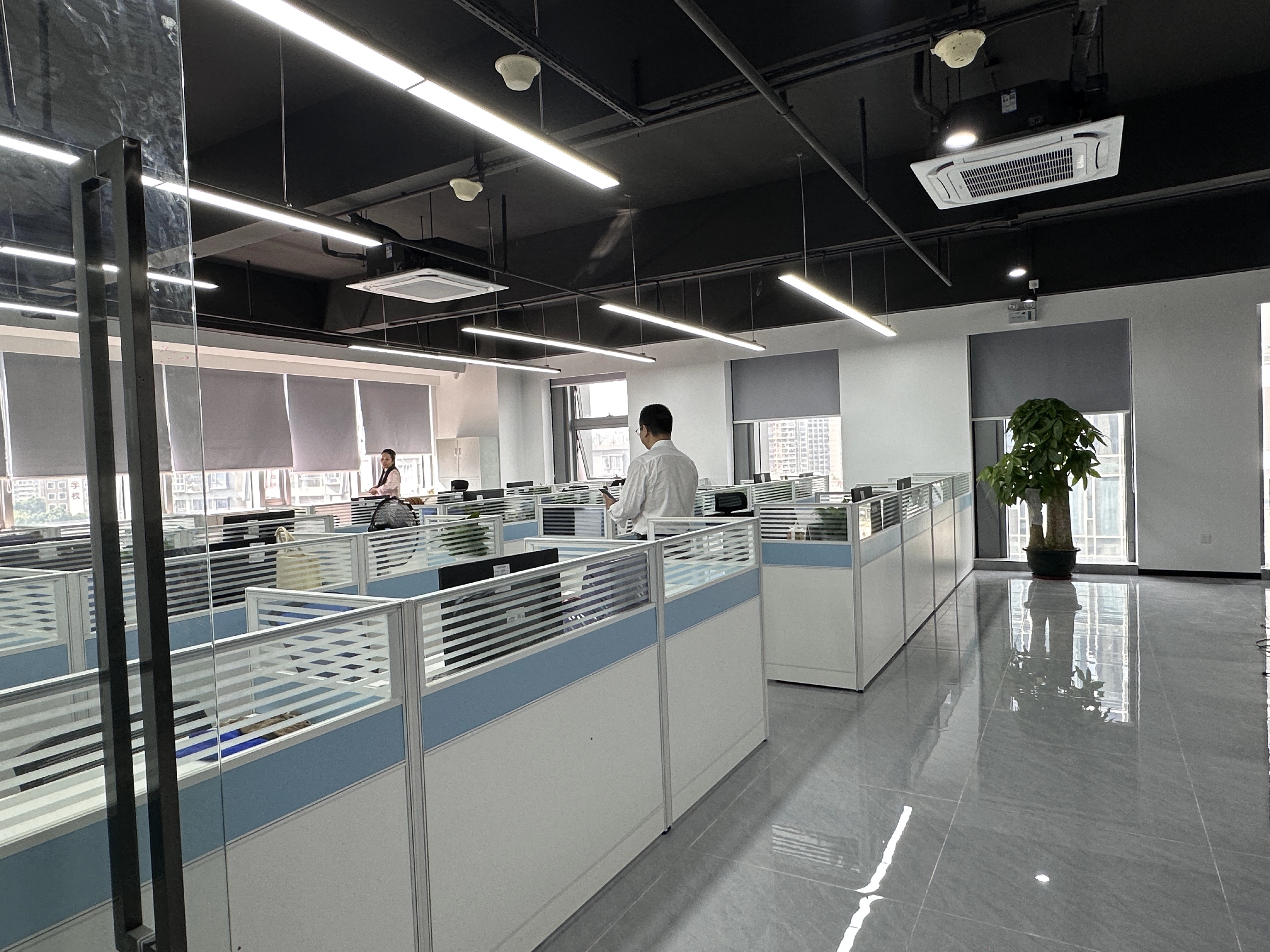Company Intrudution