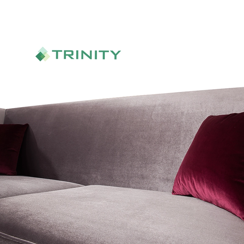 Boutique Hotel Modern Style Velvet Upholstered Hospitality 3 Seat Sofa