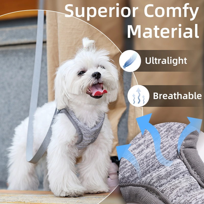 Breathable comfortable sponge super light adjustable custom dog chest harness set
