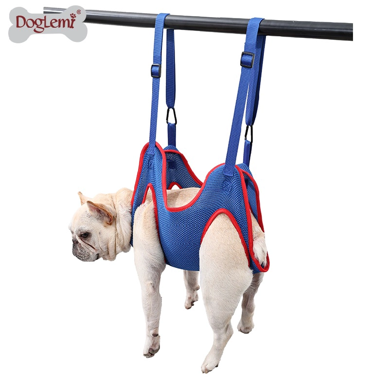 Chine Conception de seau de pilon Chien jouant en s'amusant Formation de QI Jouets interactifs grinçants - COPIE - 8iqbb9 fabricant
