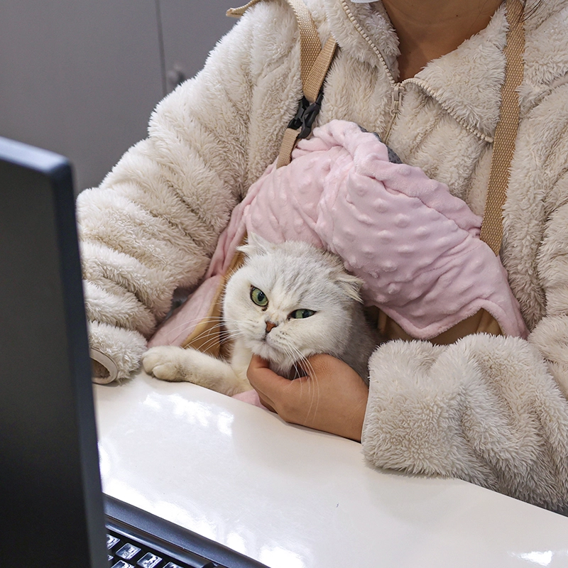 Katze Umarmungstasche