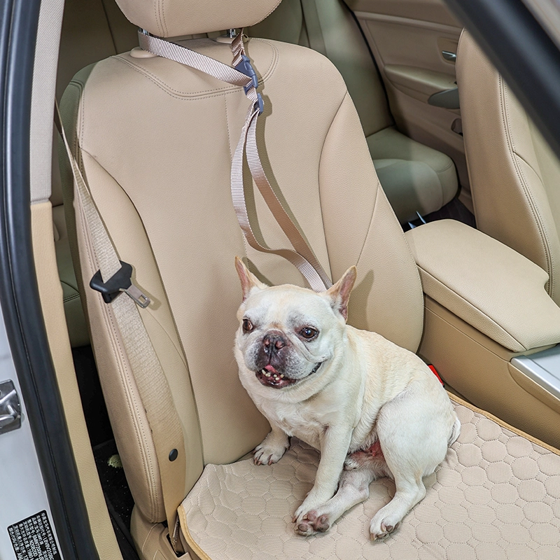Pet dog car leash