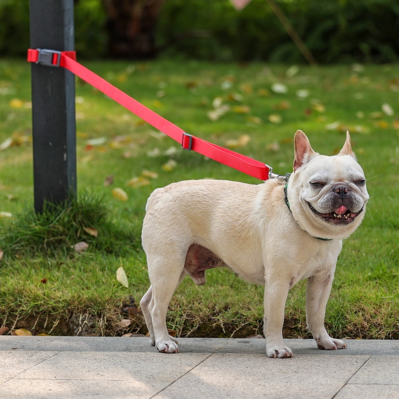 Pet dog car leash