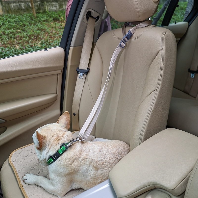 Pet dog car leash