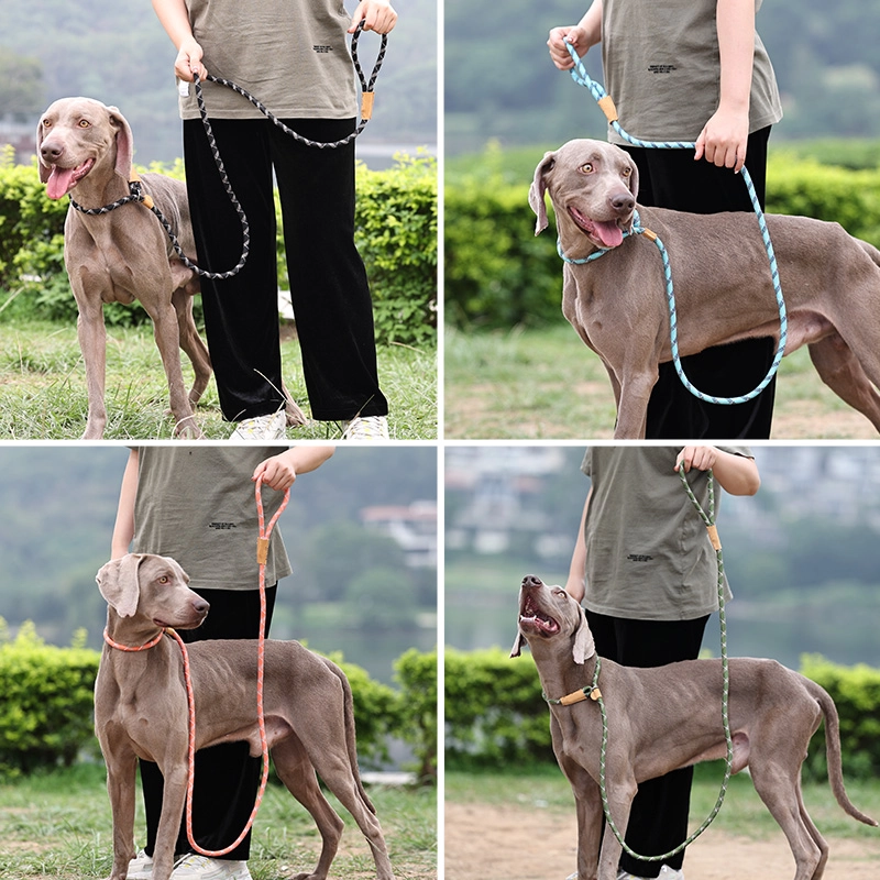 cordon de serrage rond pour chien de compagnie