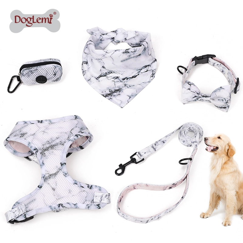 Correa para perro Arnés para el pecho Collar Pickup Aseo Collar Correa Chaleco Arnés para mascotas Conjunto